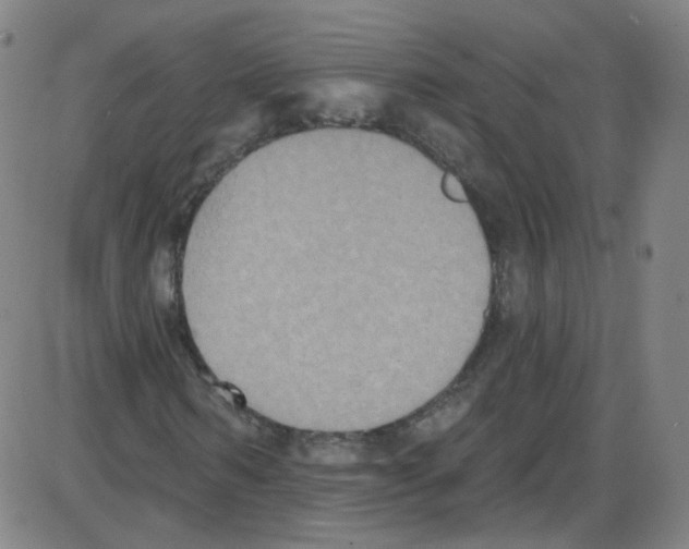 X0000084050962200703161853