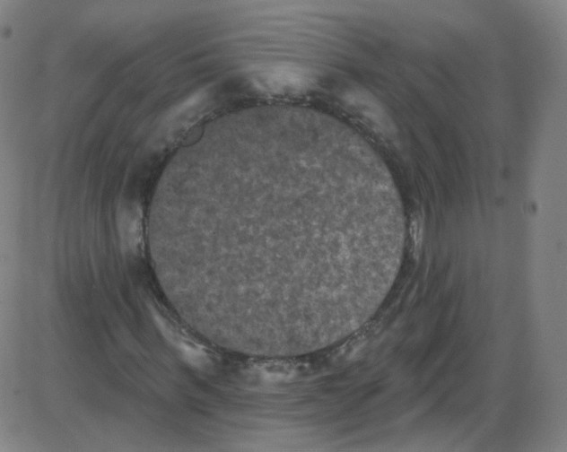 X0000084050963200703161853