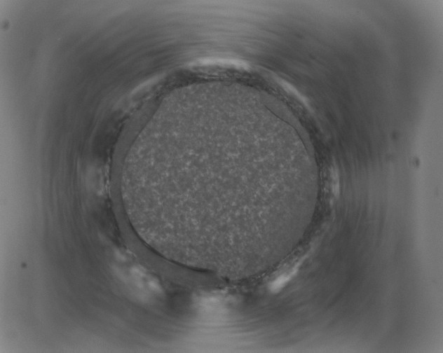 X0000084050965200703161853