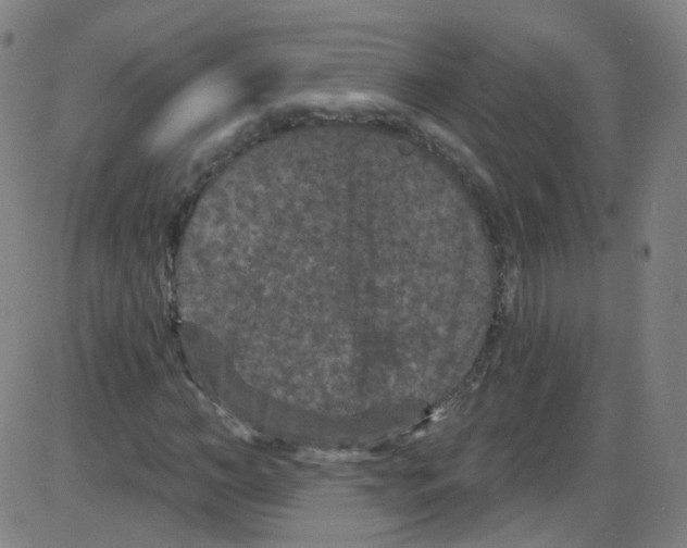 X0000084050966200703161853