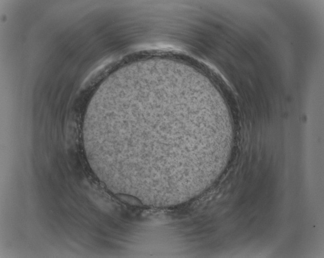 X0000084050967200703161852