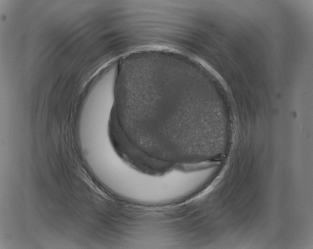 X0000084050969200703161852