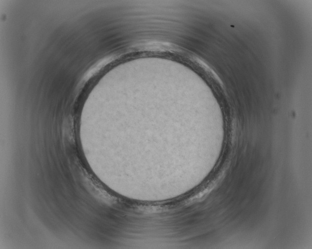 X0000084050970200703161852