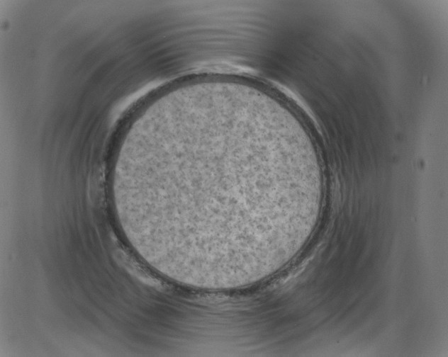 X0000084050971200703161852