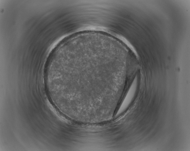 X0000084050972200703161852