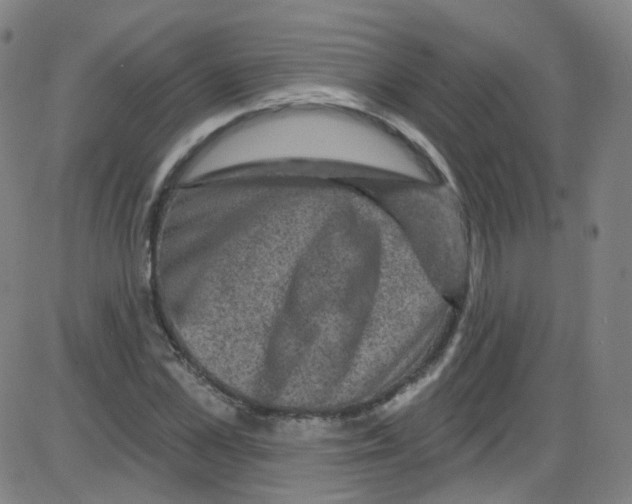 X0000084050973200703161852