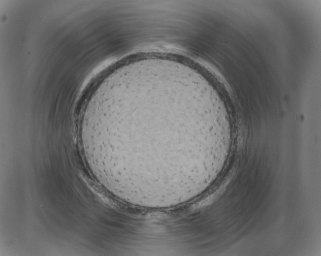 X0000084050974200703161852