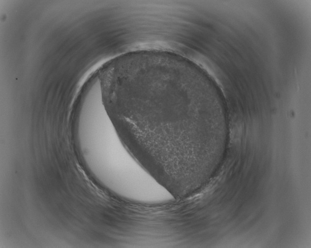 X0000084050975200703161852