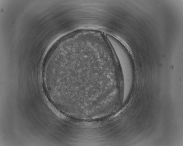 X0000084050976200703161852