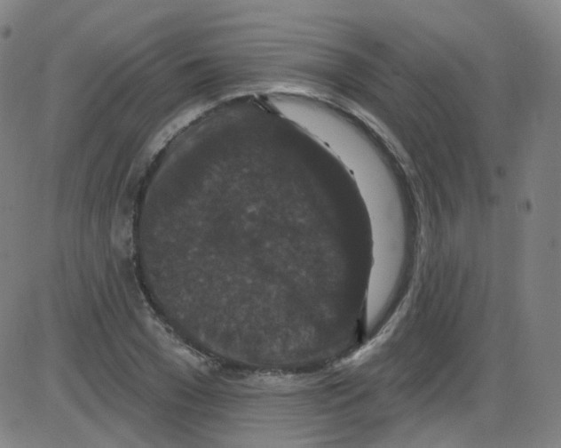 X0000084050977200703161852