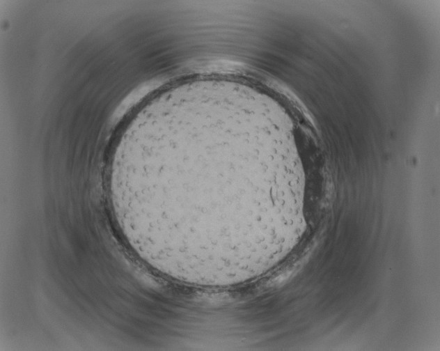 X0000084050978200703161852