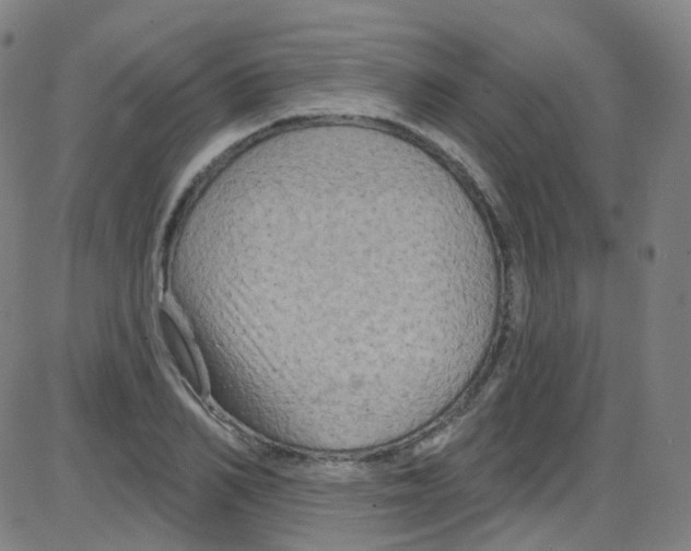 X0000084050982200703161852