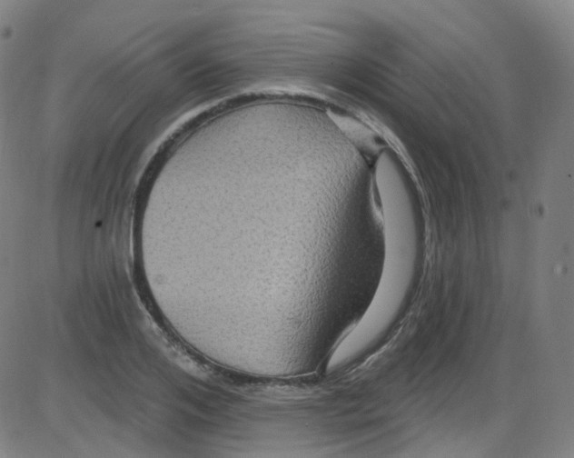 X0000084050984200703161852