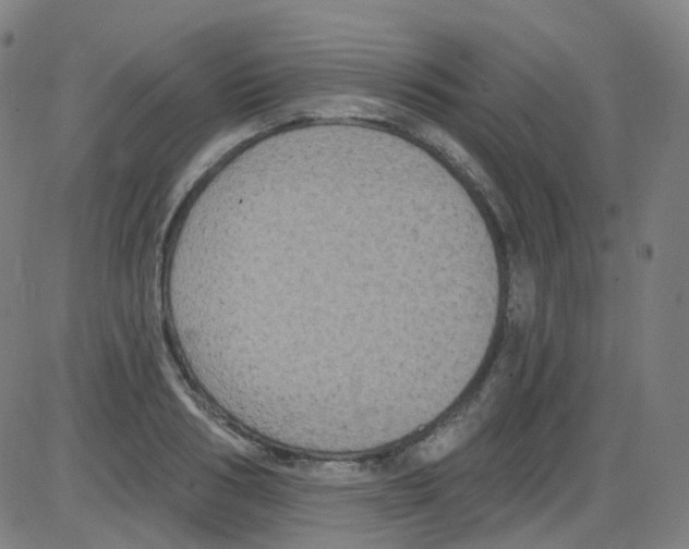 X0000084050986200703161852