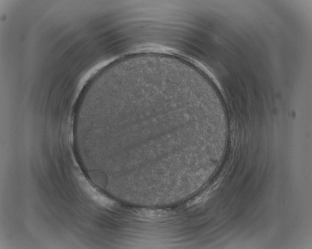 X0000084050987200703161852