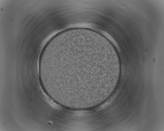 X0000084050988200703161852