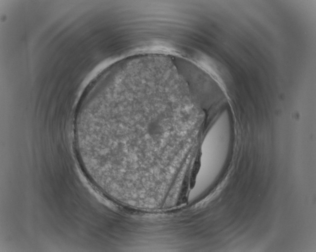 X0000084050989200703161852