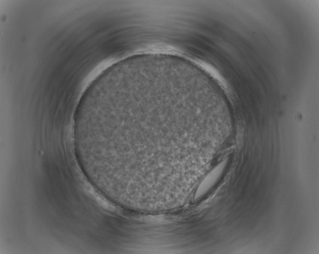 X0000084050990200703161852