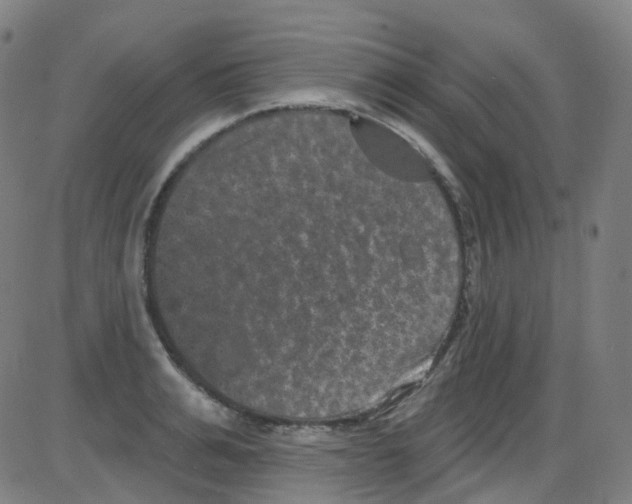 X0000084050991200703161852