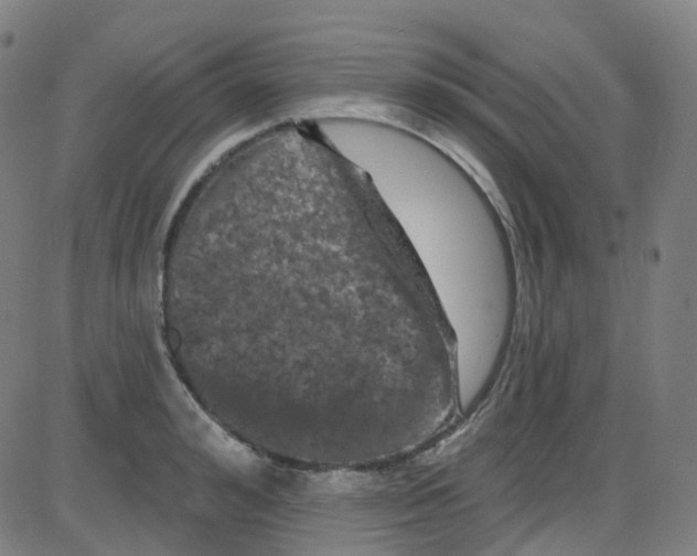 X0000084050992200703161852