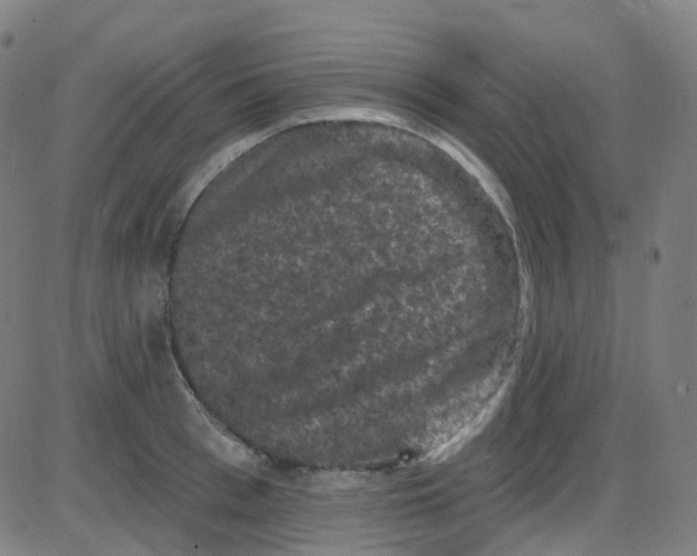 X0000084050993200703161852