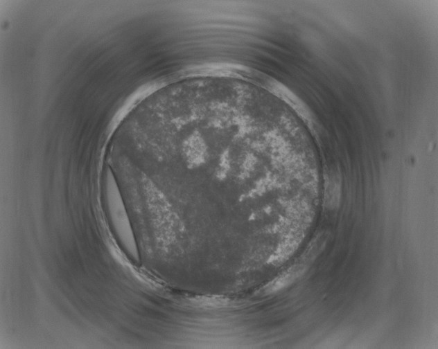 X0000084050994200703161852