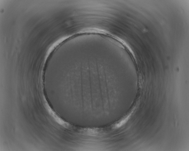 X0000084050995200703161852