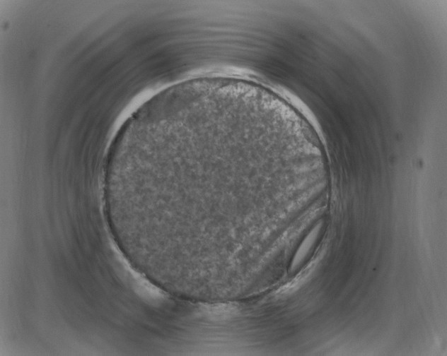 X0000084050997200703161852