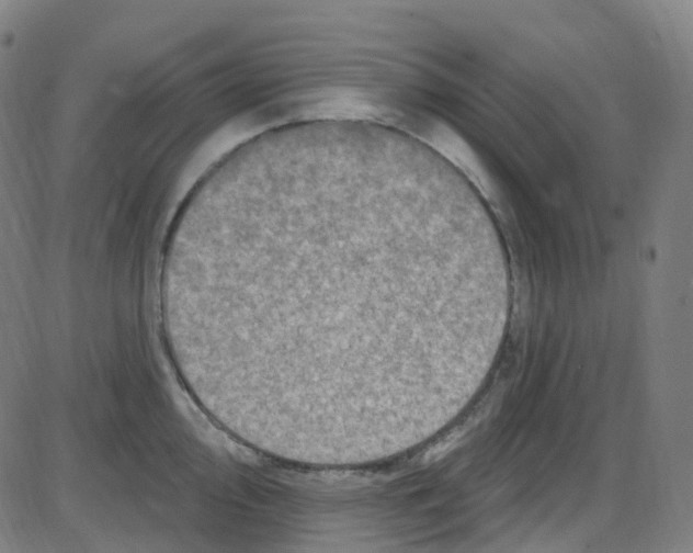 X0000084051000200703161852