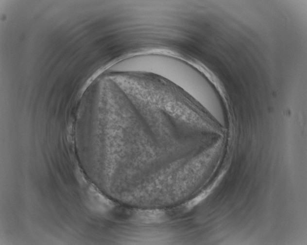 X0000084051001200703161852