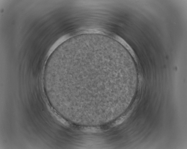 X0000084051002200703161852