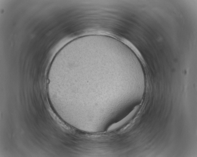 X0000084051004200703161852