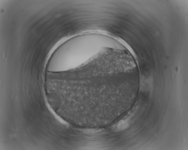 X0000084051005200703161852