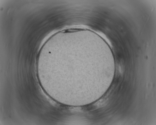 X0000084051006200703161852