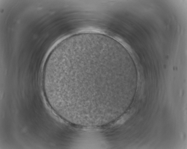 X0000084051008200703161852