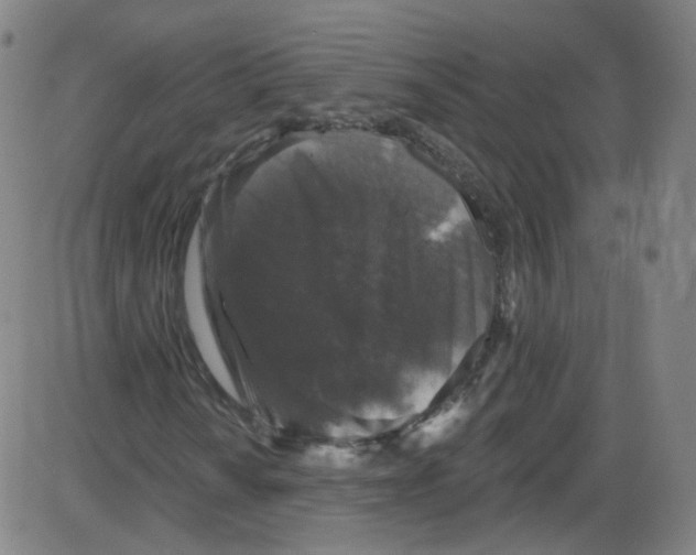 X0000084051010200703161851