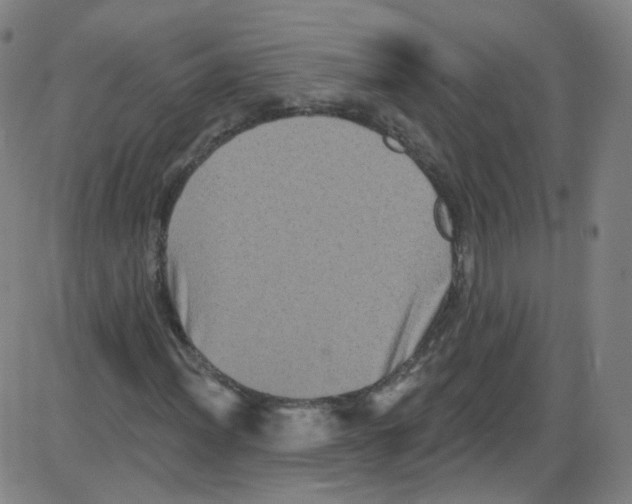 X0000084051012200703161851