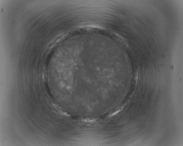 X0000084051014200703161851