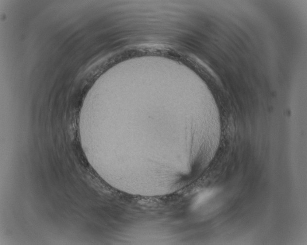 X0000084051015200703161851