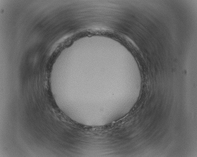 X0000084051016200703161851