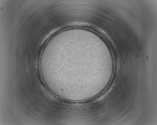 X0000084051017200703161851