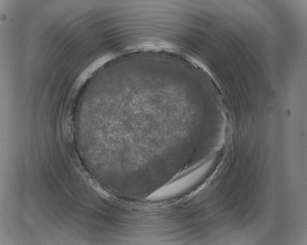 X0000084051018200703161851