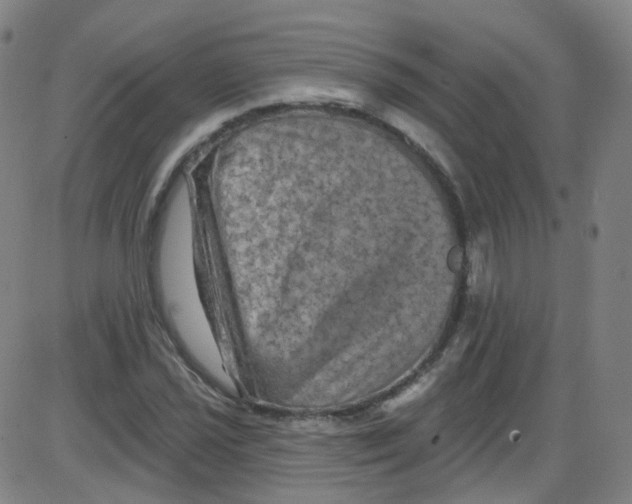 X0000084051021200703161851