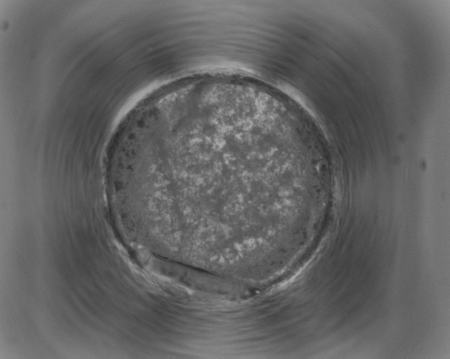 X0000084051022200703161851