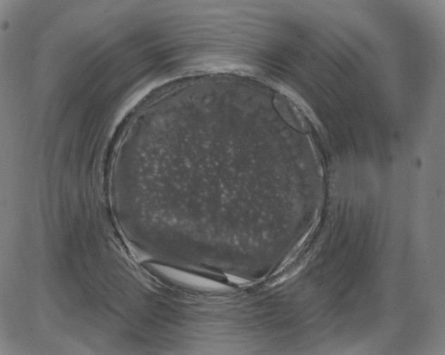 X0000084051023200703161851