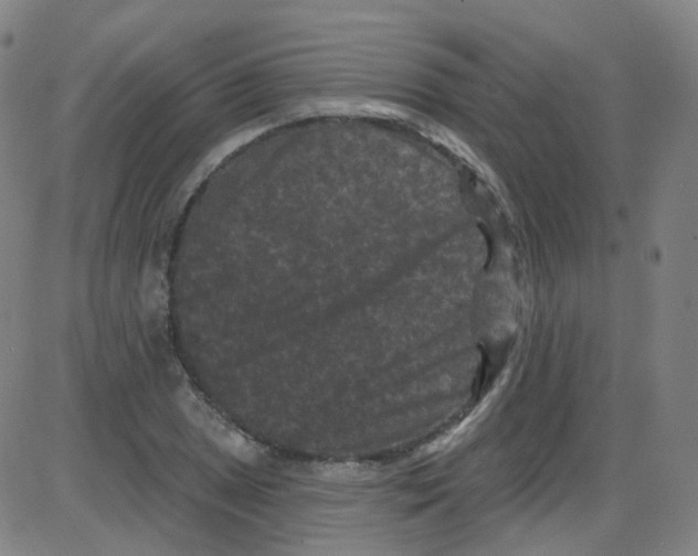 X0000084051025200703161851