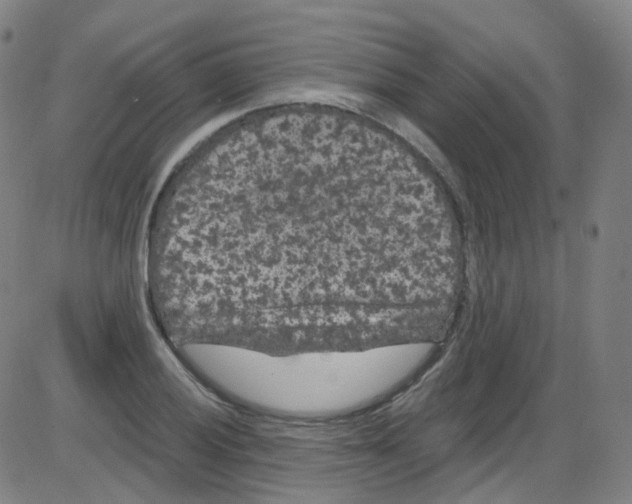 X0000084051028200703161851