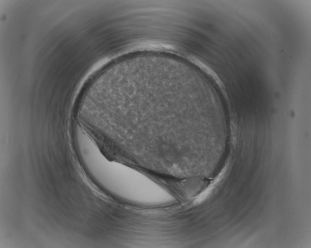 X0000084051029200703161851