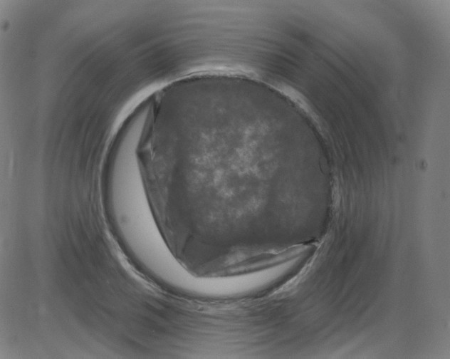 X0000084051030200703161851