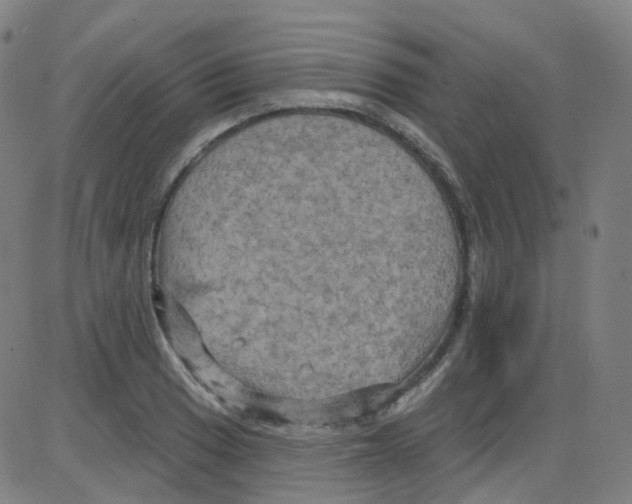 X0000084051033200703161851